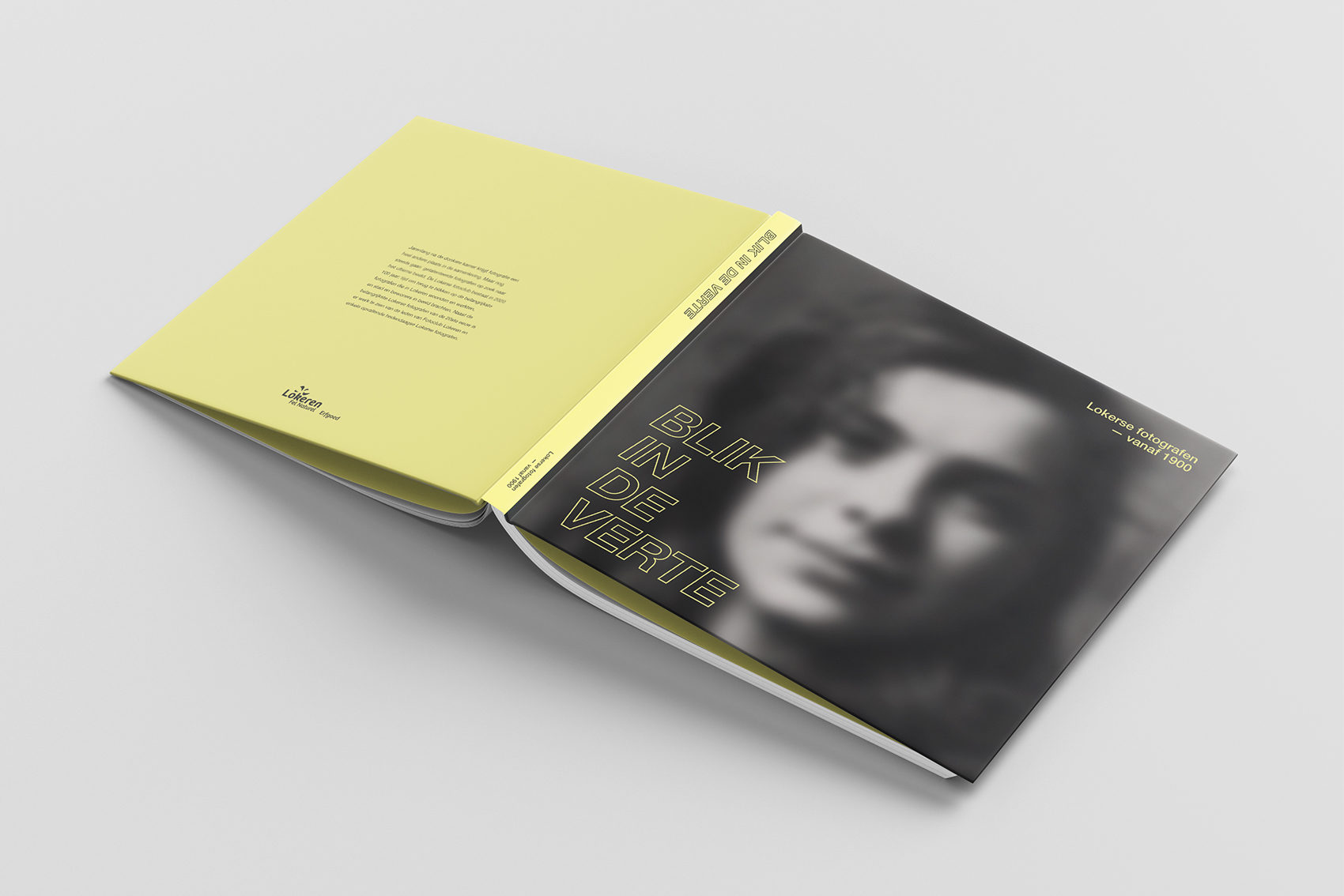blikindeverte__book_01_0001_Square_Book_Mockup_7